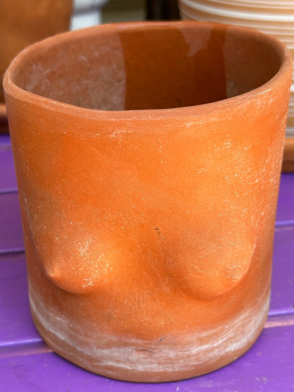 Group Partner Terracotta Body Planter - Ceramic Pot